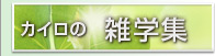 カイロの雑学集